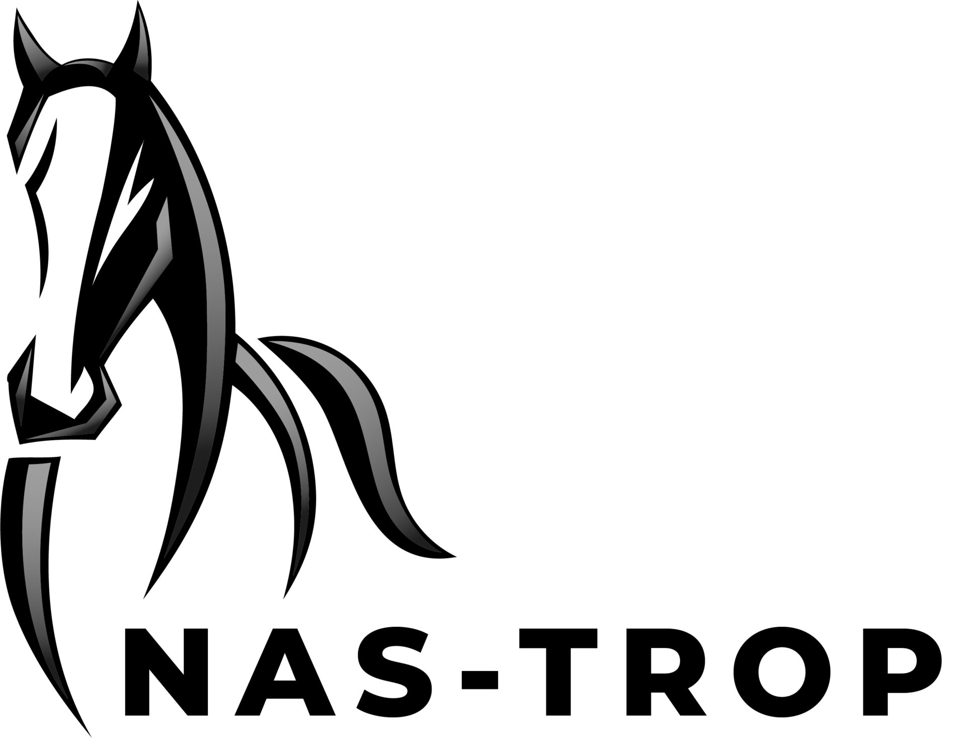 NAS TROP